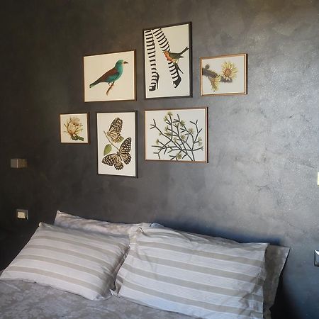 B&B La Casetta Dei Nonni Orvieto Eksteriør bilde