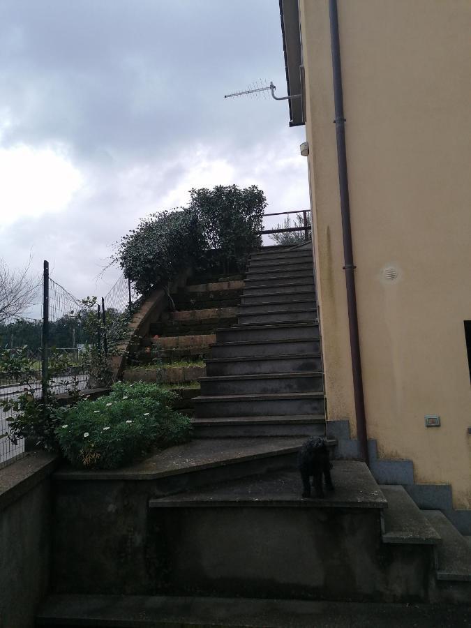 B&B La Casetta Dei Nonni Orvieto Eksteriør bilde