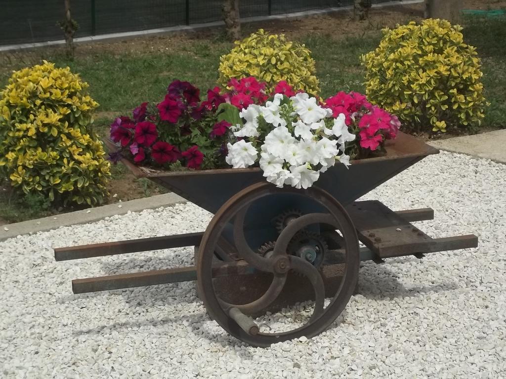 B&B La Casetta Dei Nonni Orvieto Rom bilde