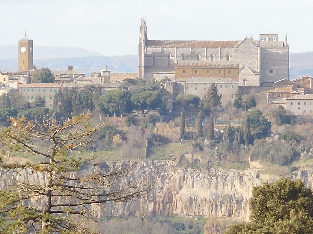 B&B La Casetta Dei Nonni Orvieto Eksteriør bilde