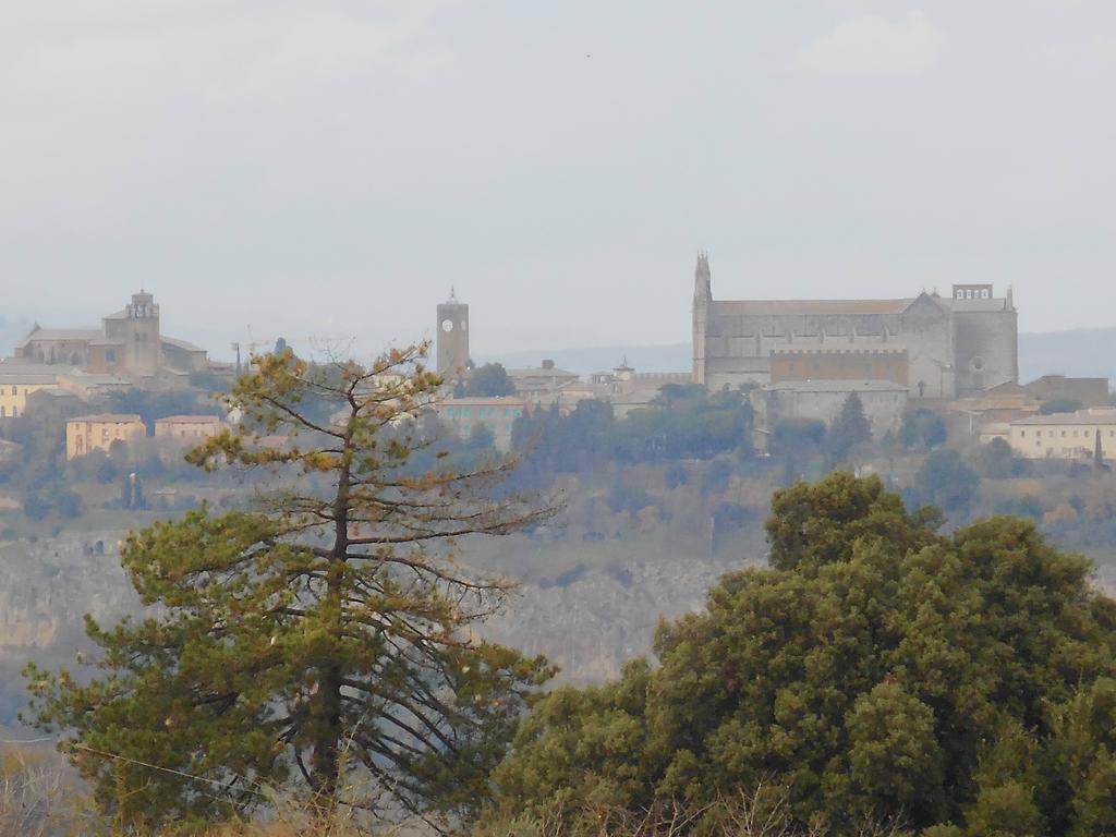 B&B La Casetta Dei Nonni Orvieto Eksteriør bilde