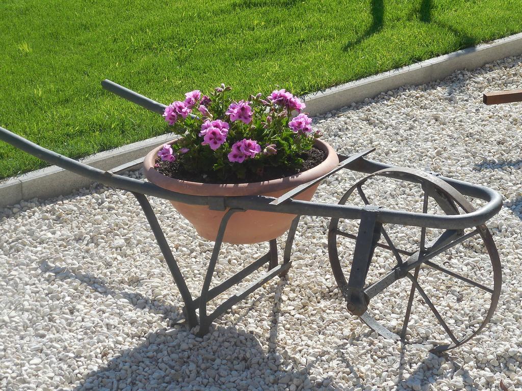 B&B La Casetta Dei Nonni Orvieto Eksteriør bilde